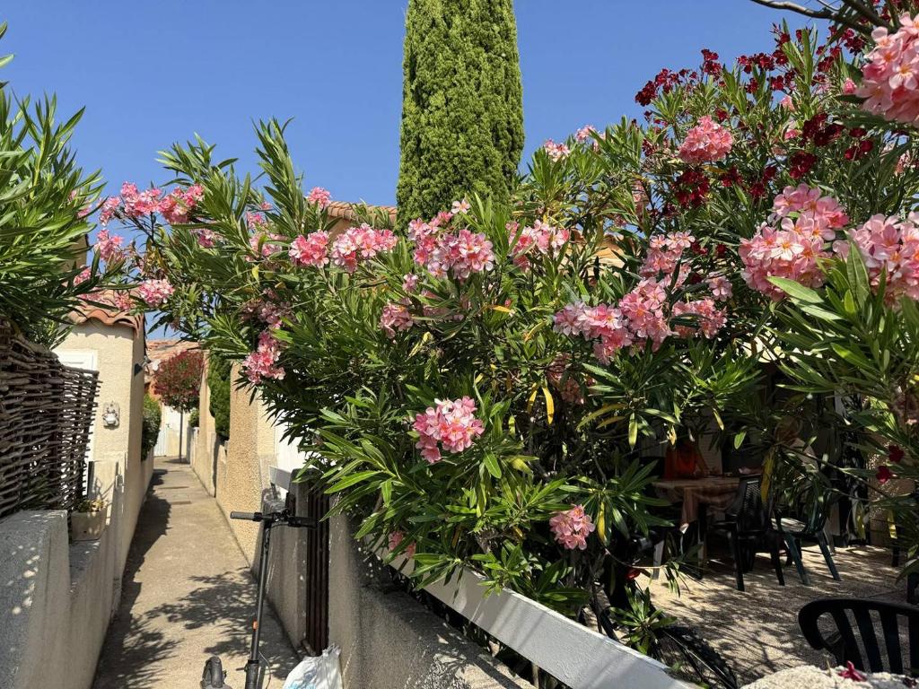 HOLIDAYLAND VILLA 415 T2 MEZZANINE 6 couchages NARBONNE PLAGE - 2