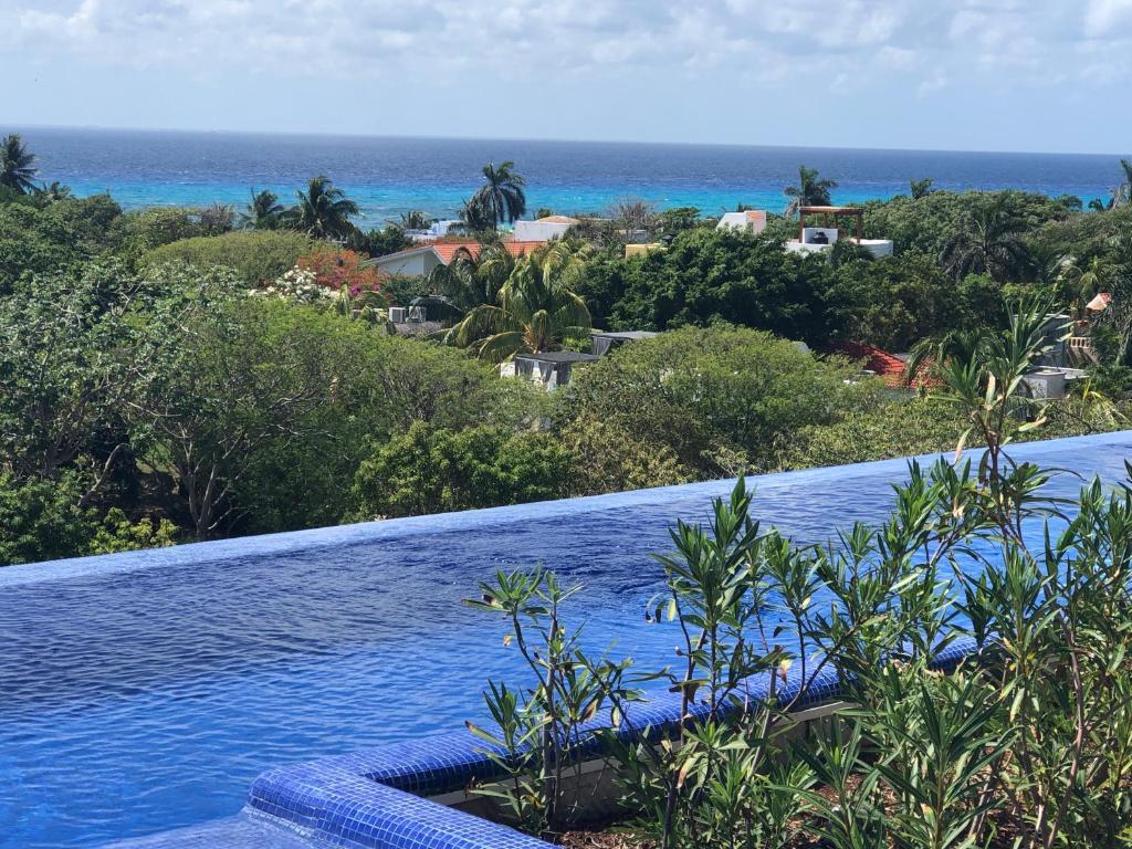 Ocean View Pool in Exclusive Playacar, En-Suite Rooms - 2