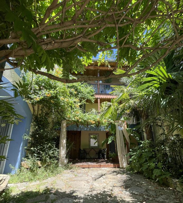 Autour d'une Toile, Rouvenac