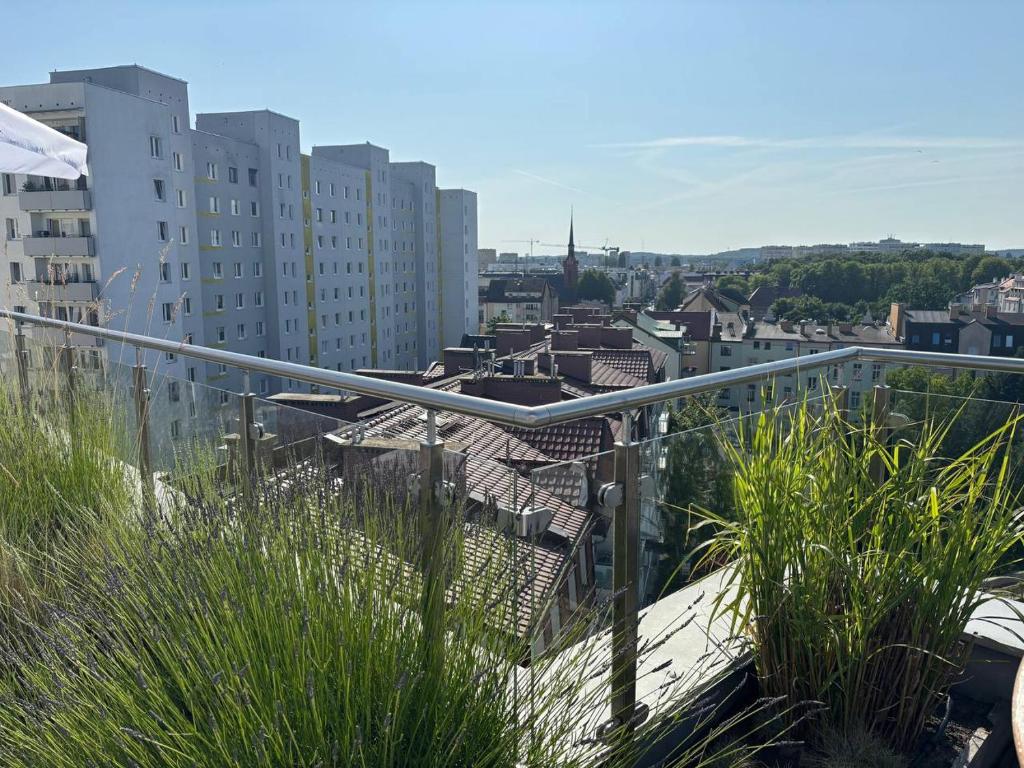 Varanda/terraço
