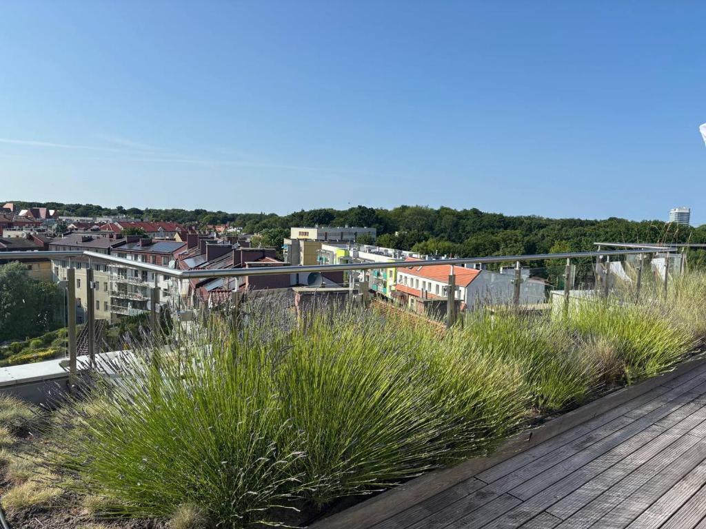 Varanda/terraço