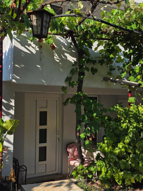 Bozovic Apartments I - 3