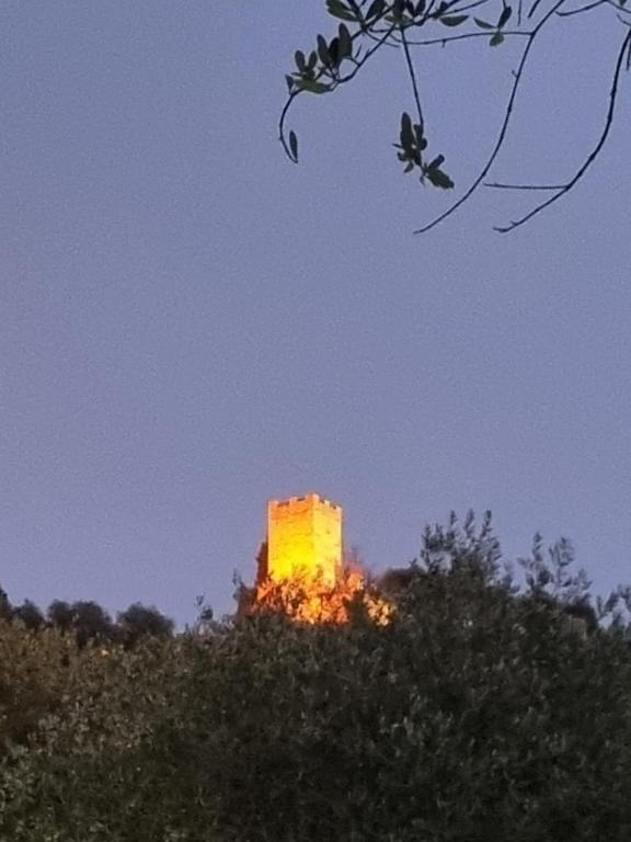 Le Jas - 4