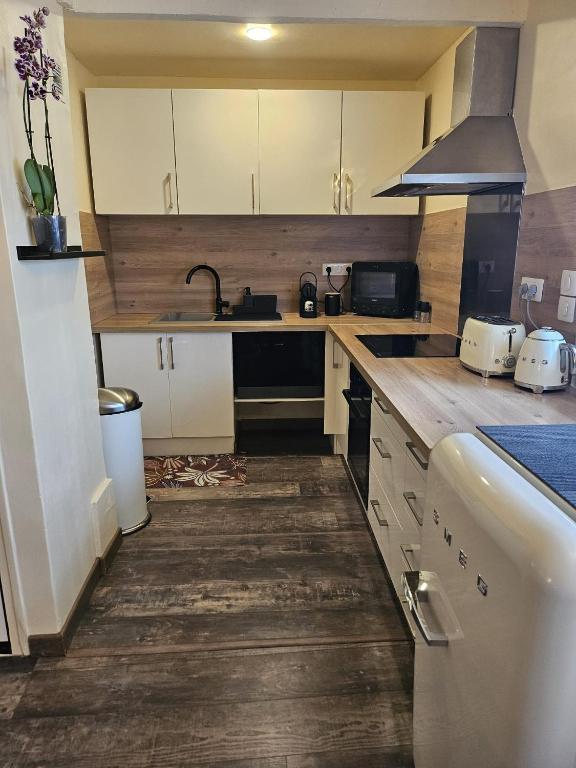 Le petit Vincent, Studio élégant, central avec parking privé - 3