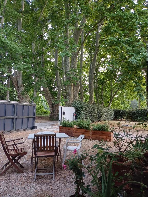 Maison avec jardin arboré - 3