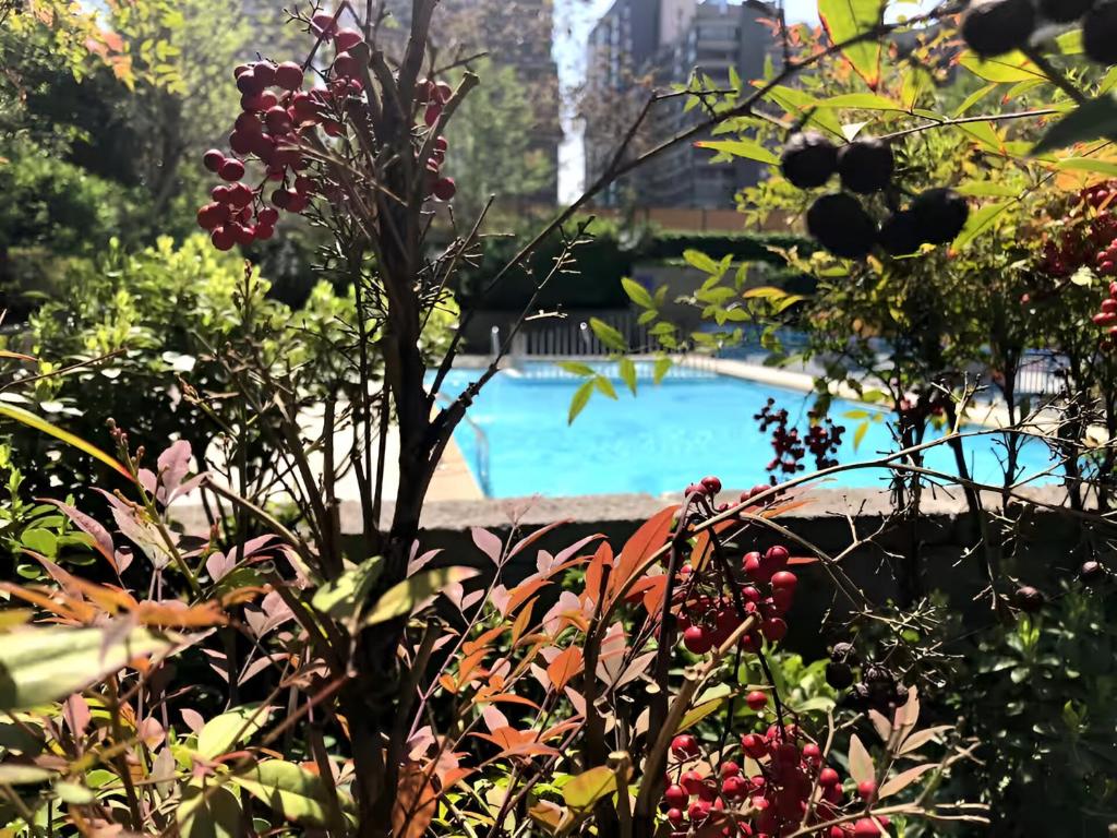Moderno Departamento con hermosas vistas, piscina, estacionamiento, muy cerca del Metro Santa Isabel y Providencia - 4