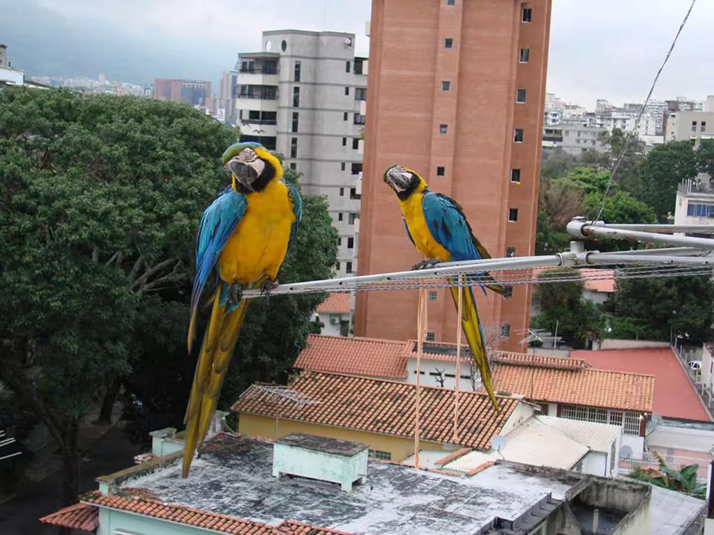 Hospedaje Toujours - 3