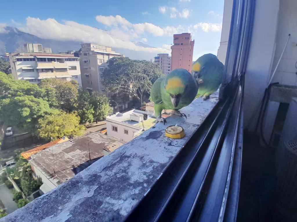 Hospedaje Toujours - 5