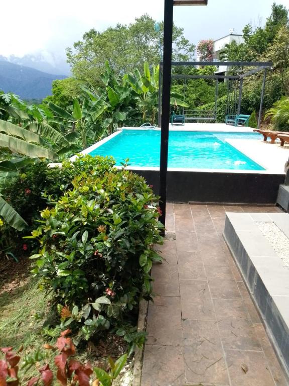 consentida vip - 2