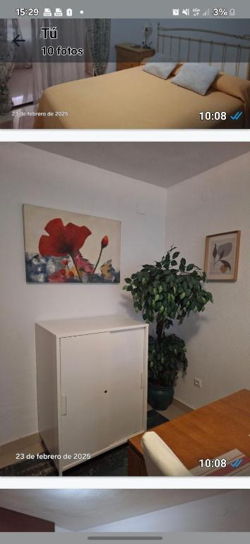Apartamento Tessa - 5