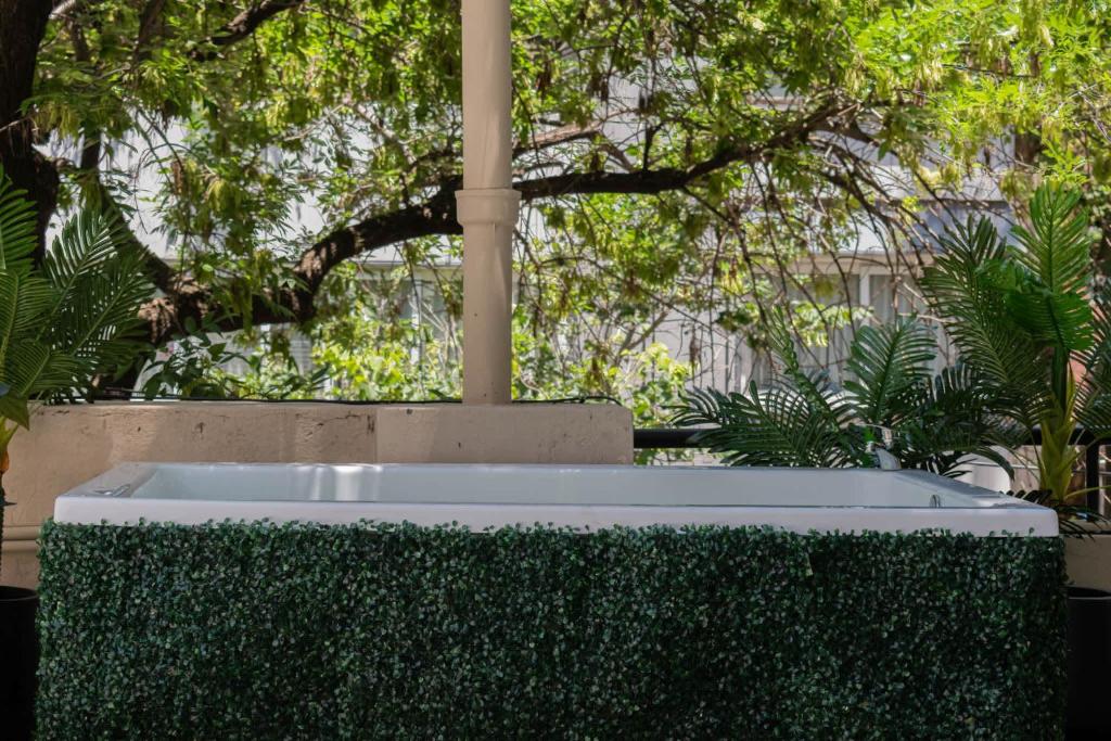 MOT Chic Haus C Lux 1 Bd Palermo Chico - 5
