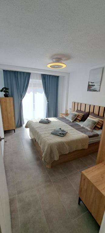 Apartamento Sofia - 5
