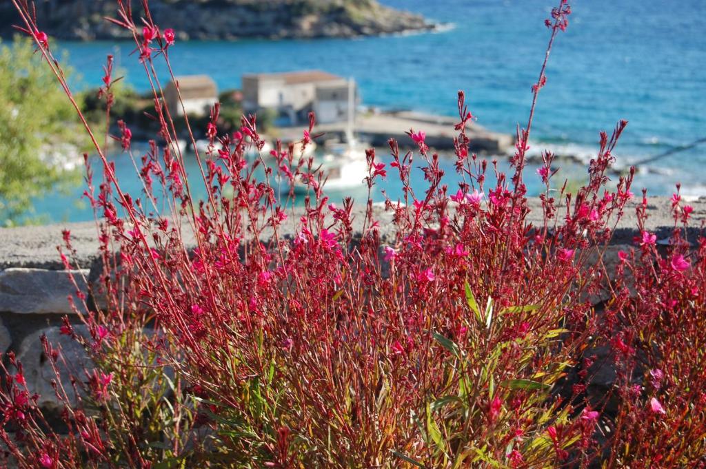 Meropi Villas photo