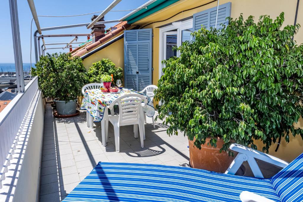 Seagulls, Elegance and Freedom, Lavagna