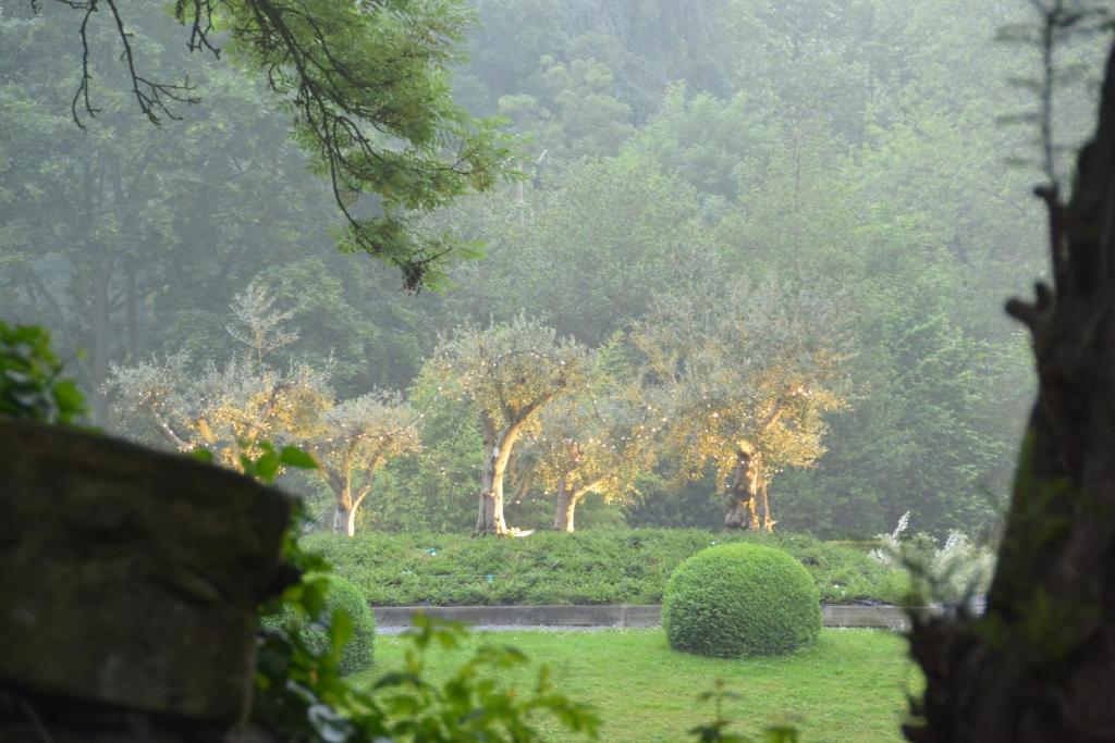 Haras des Chartreux photo