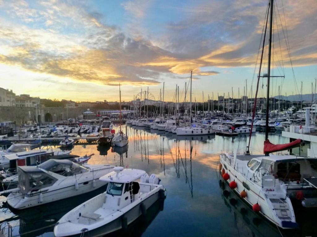 Séjour face au Vieil Antibes avec parking - 2
