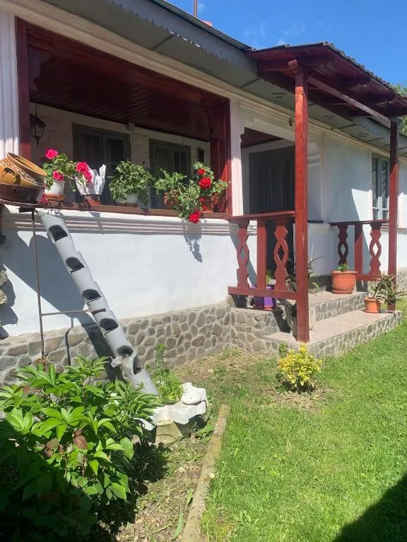 Casa Putna, hotel v destinaci Vidra