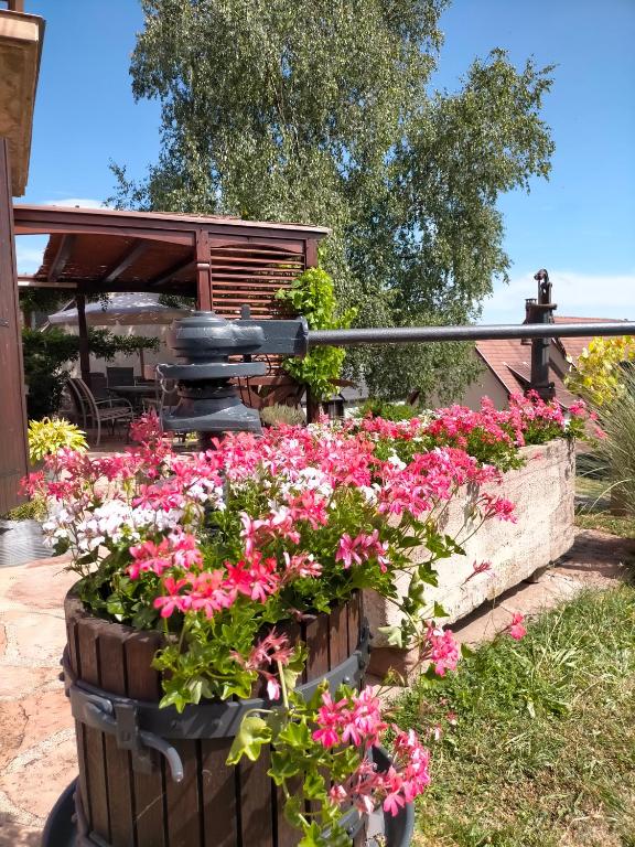 Chez Yolande, Nothalten