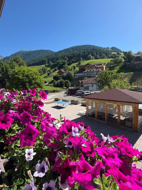Pension Wirt am Bach - 2