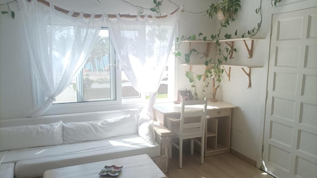Casa Flora - 5