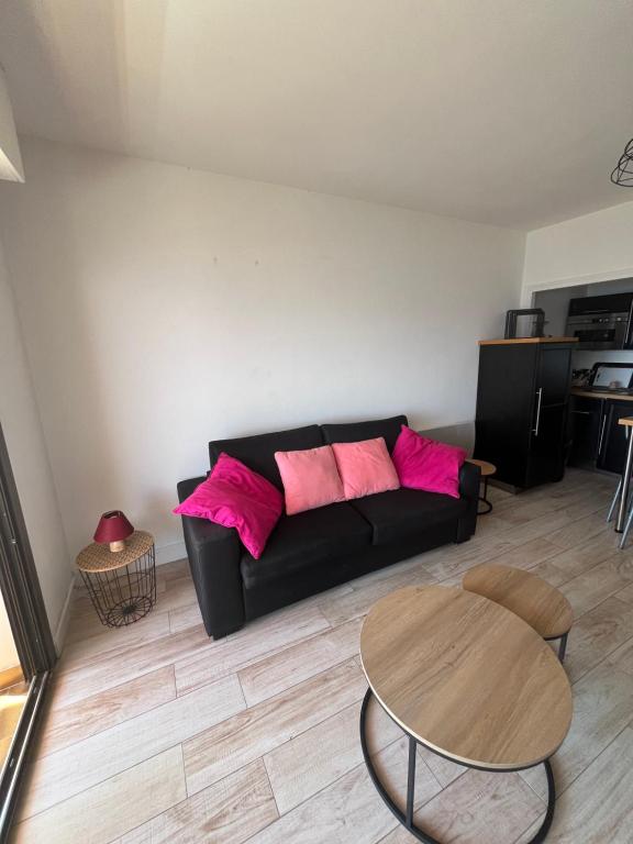 SUPERBE APPARTEMENT FACE AUX ILES SANGUINAIRES - 4