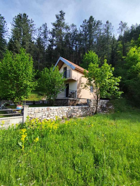 Cottage in nature of Cetinje, Cetinje