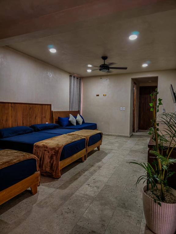 Apartamento Flamingo - Santuario Apartments, Chemuyil