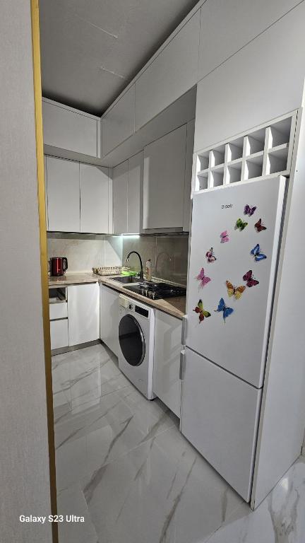 Flatbatumi, Sasireti