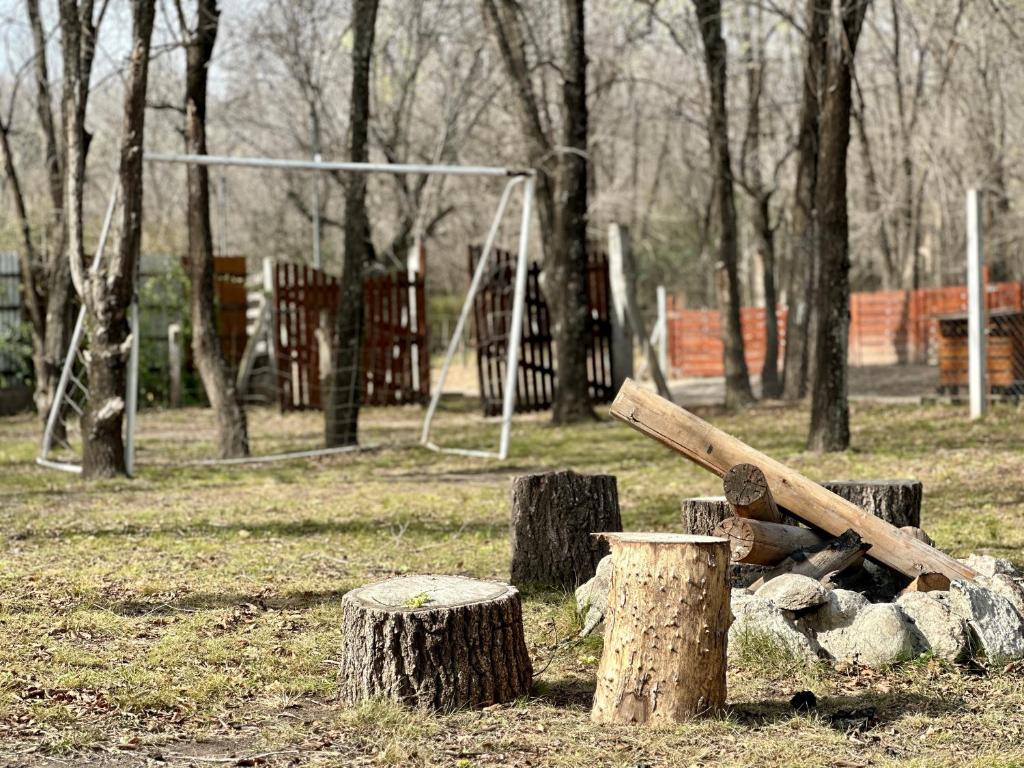 Complejo bosque del peñon - 3