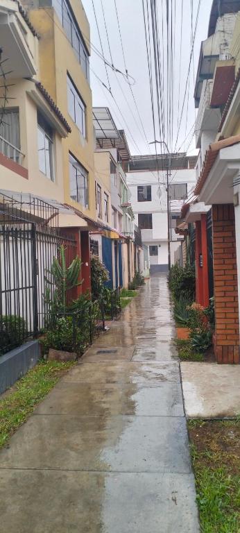 Hermoso mini dpto en San Luis Lima - 3