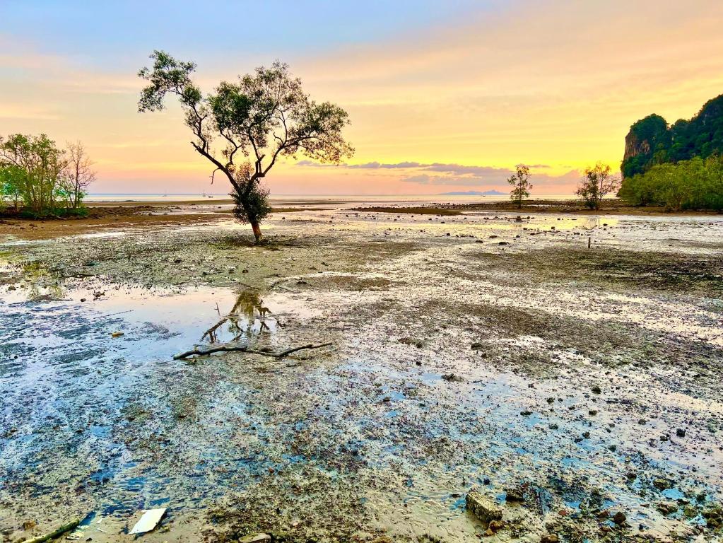 Surrounding environment