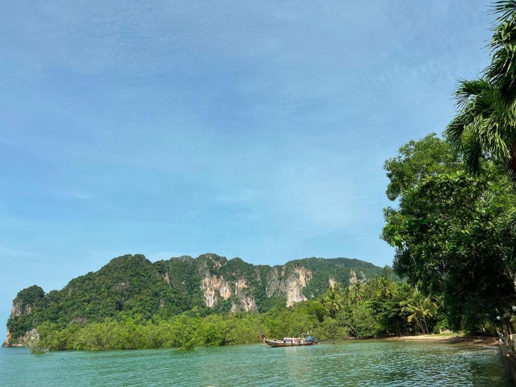 Surrounding environment