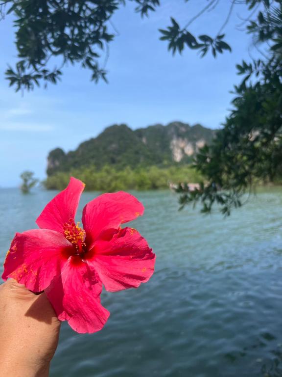 Surrounding environment