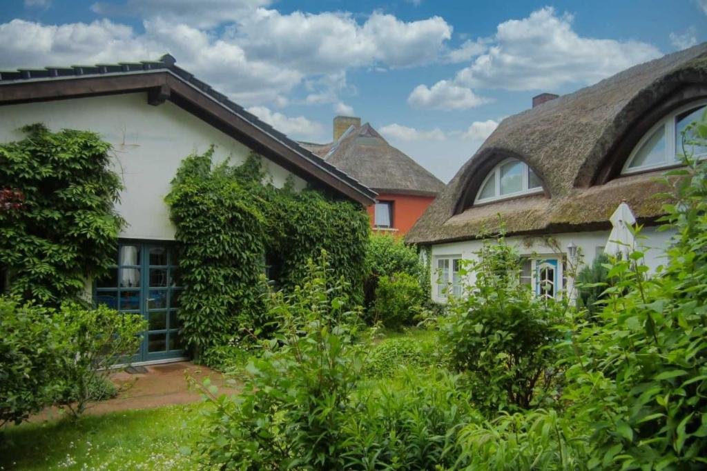 Fewo Anett in Binz, Binz