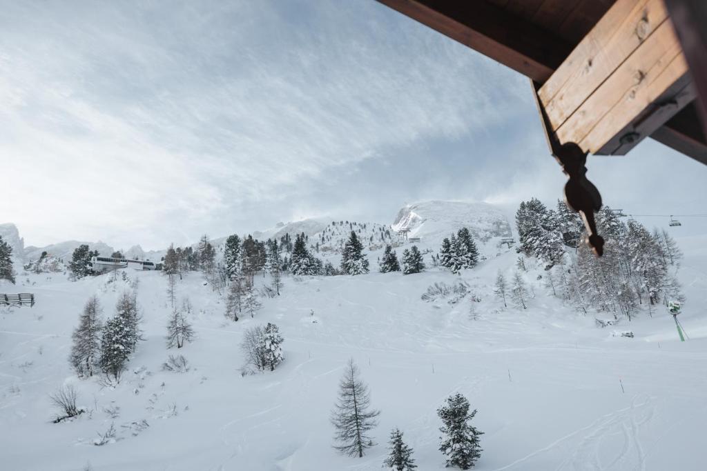 Superior Hotel Schneider Ski-in & Ski-out - 5