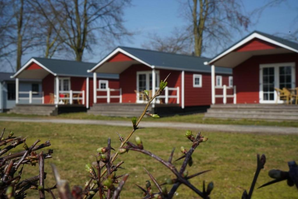 Camping Mareveld, Schimmert