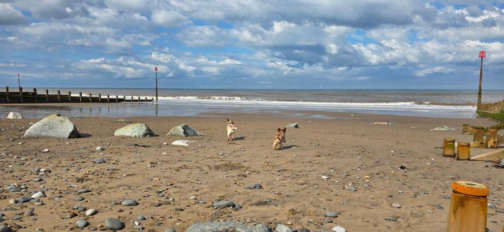 Foxys Seaside Retreat, Withernsea photo 5