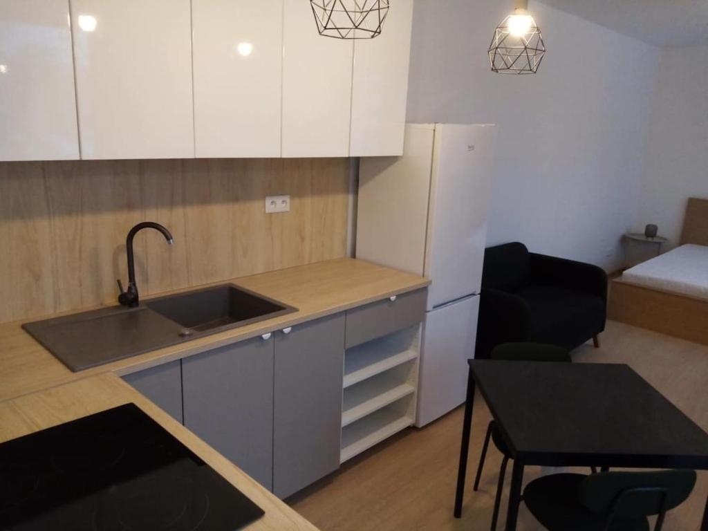 1 Room Apartment, Otilia