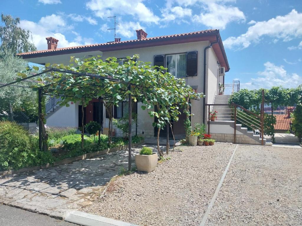 Apartma Bernardka, Žusterna