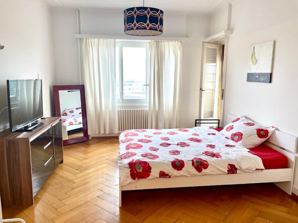 Grand Appartement de 3 chambres - 4