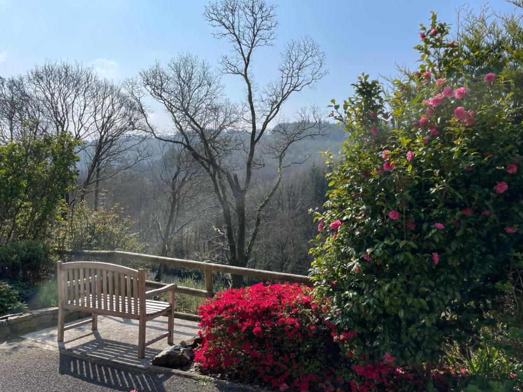 2 Bed in Fowey 77914, Braddock