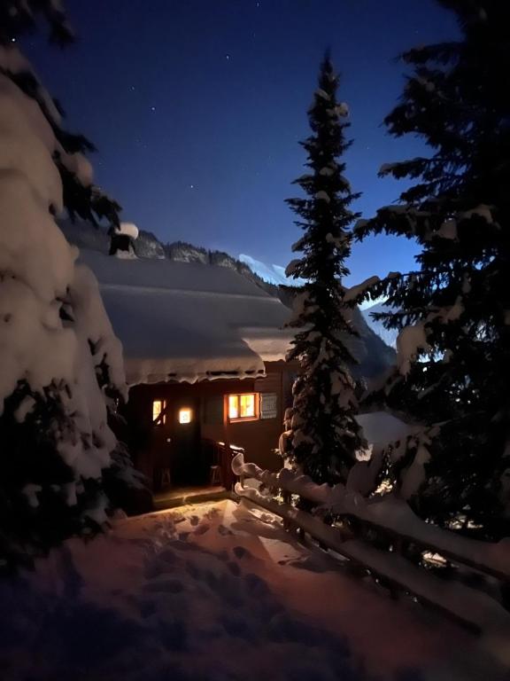 Chalet La Piste Noire - 3
