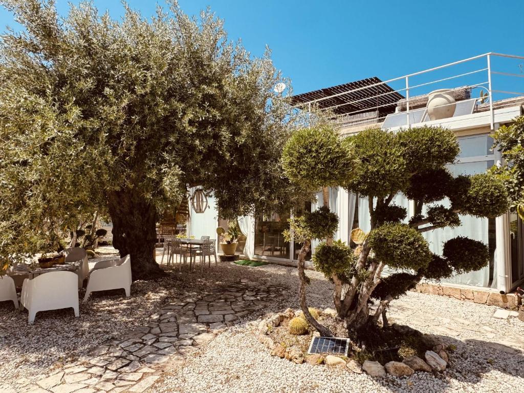 Villa Il Carrubo val di noto con piscina privata - 4