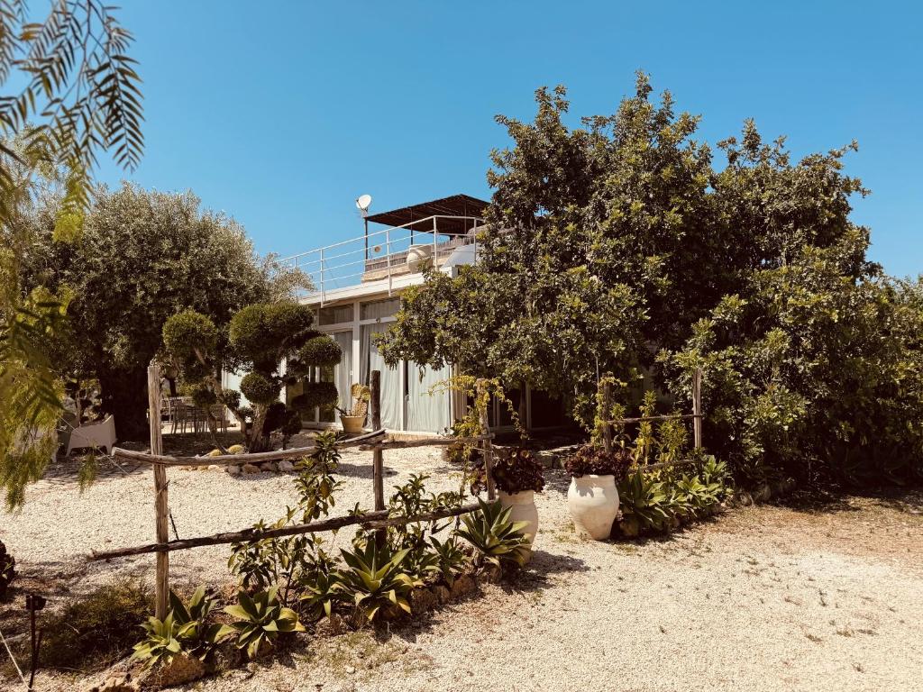 Villa Il Carrubo val di noto con piscina privata - 5