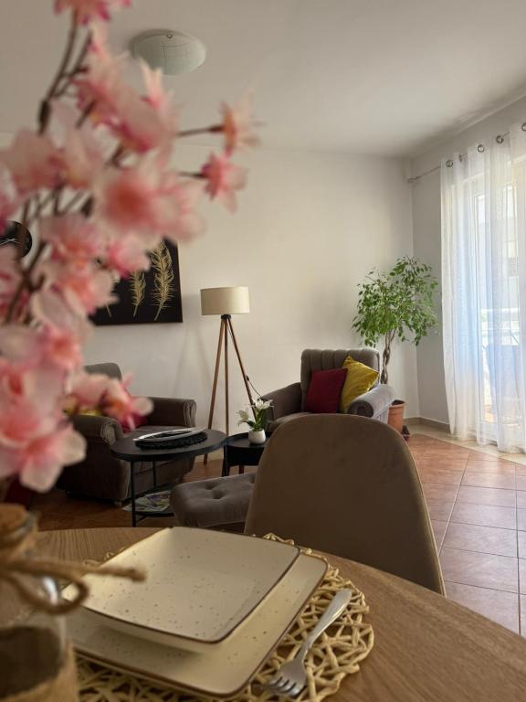 Stan Duo, Herceg Novi