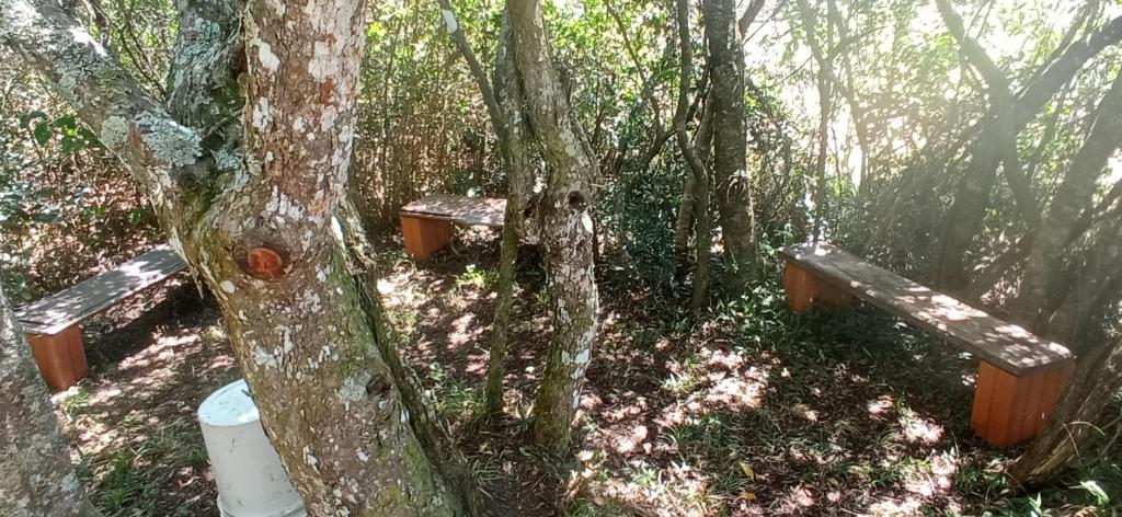 Centro de Retiro Mayhuma - 3