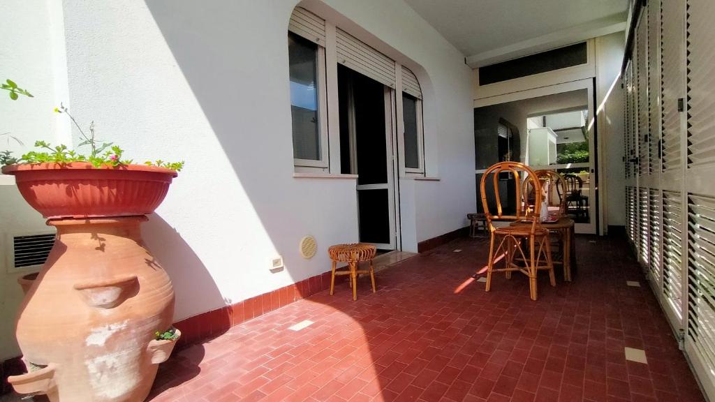 Appartamento quadrilocale 50 mt DAL MARE Taunus Vacanze cod 498 - 5