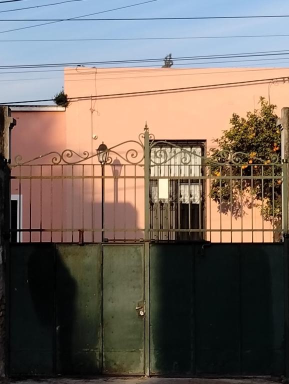 Los buenos amigos de Felipe Sambucetti - 4