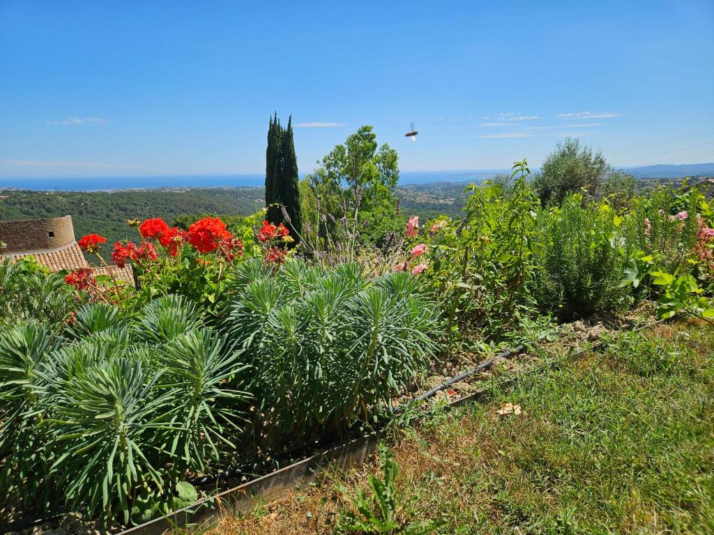 Appartement VUE MER an der Côte d'Azur für 2-3 Personen mit Gartenanteil - 4