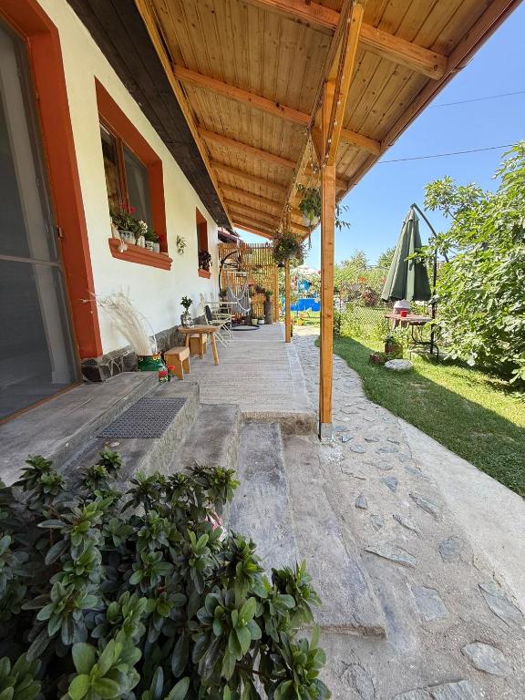 Tiny Mara, Râmnicu Vâlcea